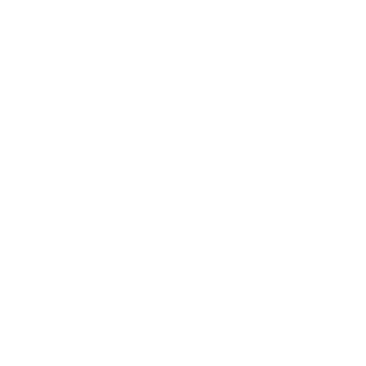 Wedding-Wire-Logo-2985642312 copy